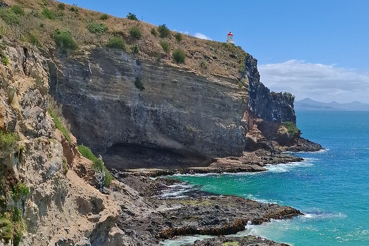 Private Dunedin & Otago Peninsula Tours Up to 4 people