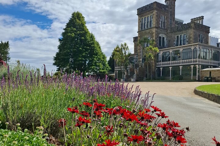 Private Dunedin & Otago Peninsula Tours Up to 4 people