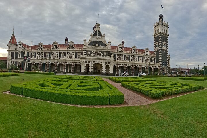 Private Dunedin & Otago Peninsula Tours Up to 4 people