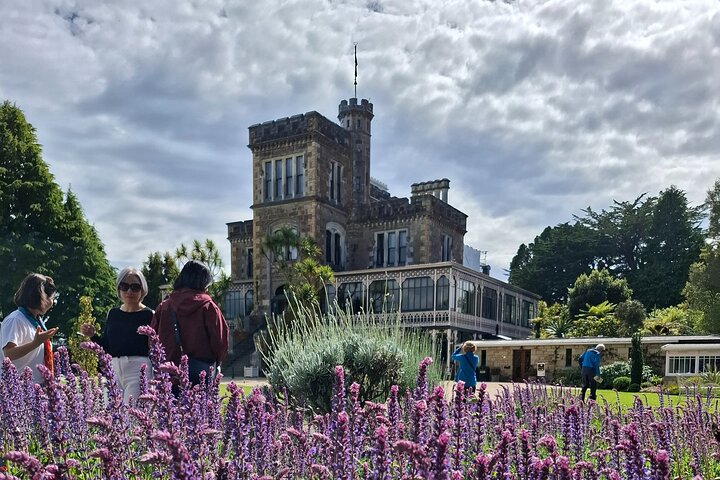 Private Dunedin & Otago Peninsula Tours Up to 4 people