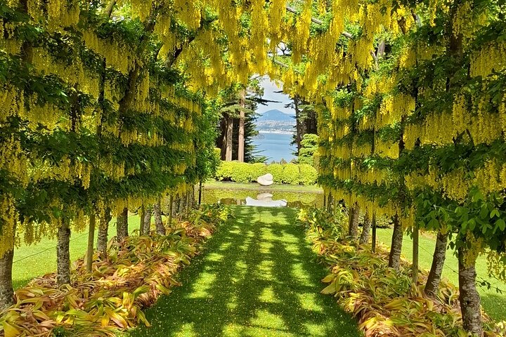 Private Dunedin & Otago Peninsula Tours Up to 4 people