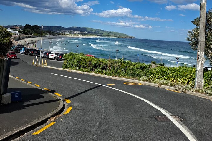 Private Dunedin & Otago Peninsula Tours Up to 4 people