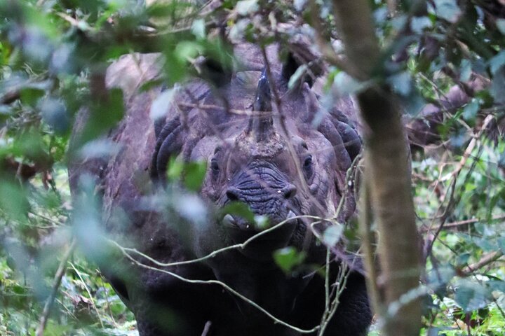 Adventure Day Walk(Private, 8-10h.) inside Chitwan National Park.