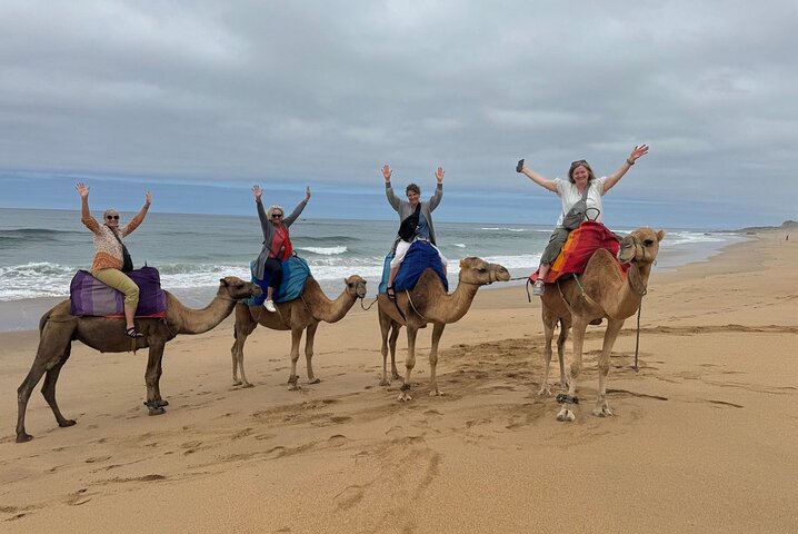 Private Luxury 4-Hour Tangier tour