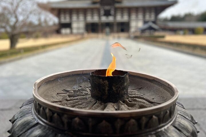 Nara Early Morning Group Tour from Kyoto or Osaka
