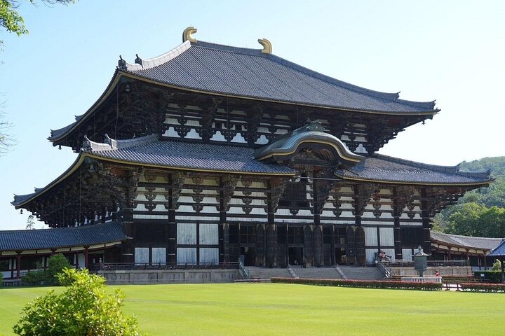 Nara Early Morning Group Tour from Kyoto or Osaka