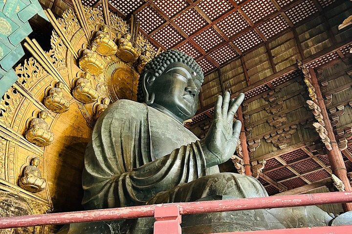 Nara Early Morning Group Tour from Kyoto or Osaka