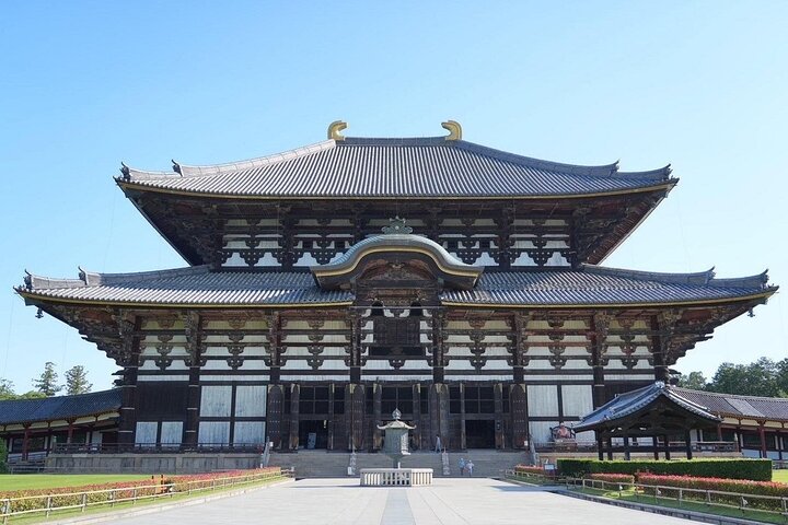 Nara Early Morning Group Tour from Kyoto or Osaka