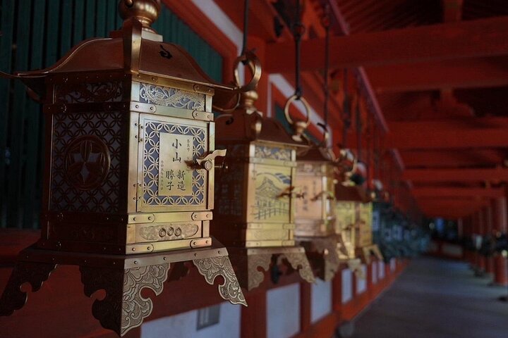 Nara Early Morning Group Tour from Kyoto or Osaka
