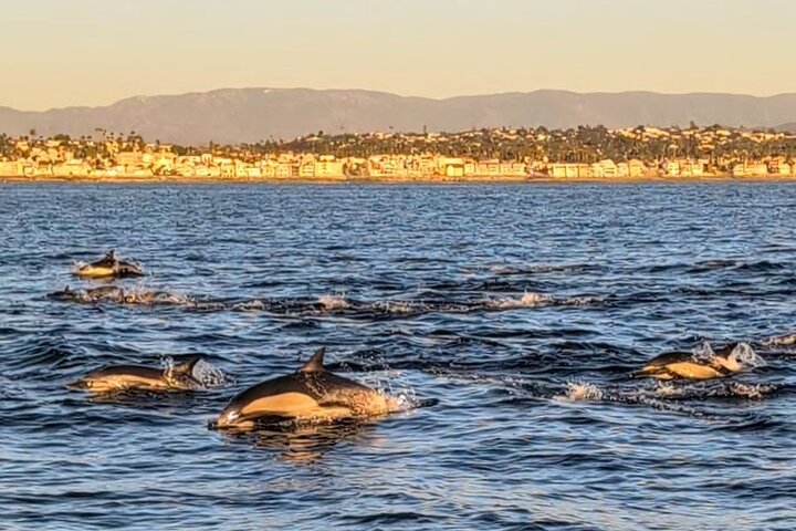 Private Sailing Charters in Oceanside CA