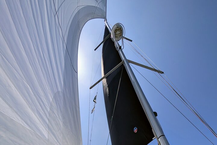Private Sailing Charters in Oceanside CA