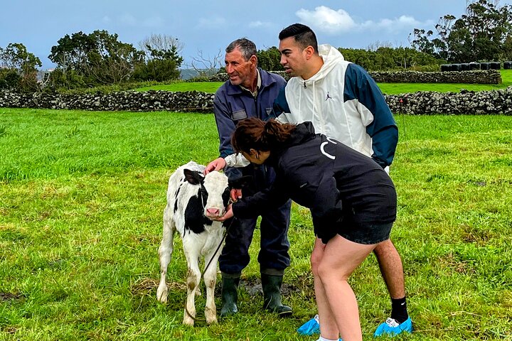 Terceira Island Highlights with Local Guide