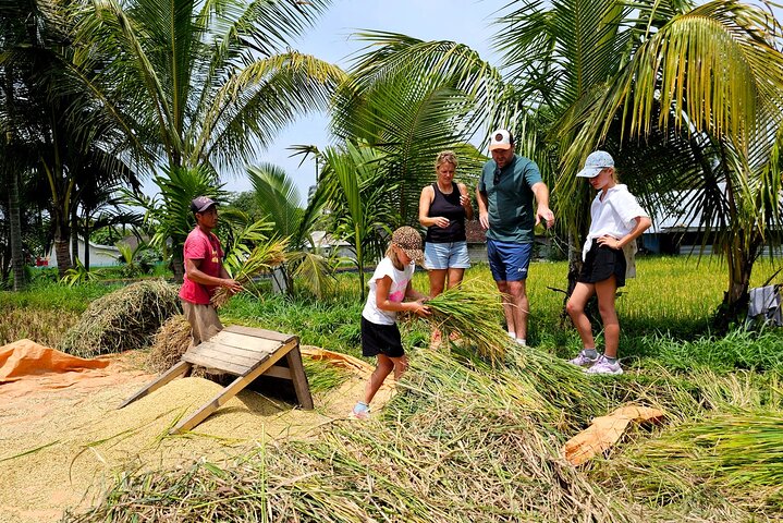 Lombok Private Trip: 4 Waterfalls, Rice Fields & Jungle Trek