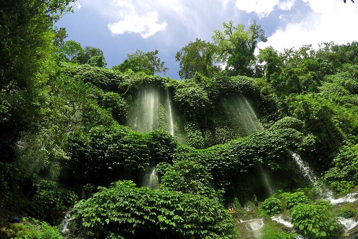 Lombok Private Trip: 4 Waterfalls, Rice Fields & Jungle Trek