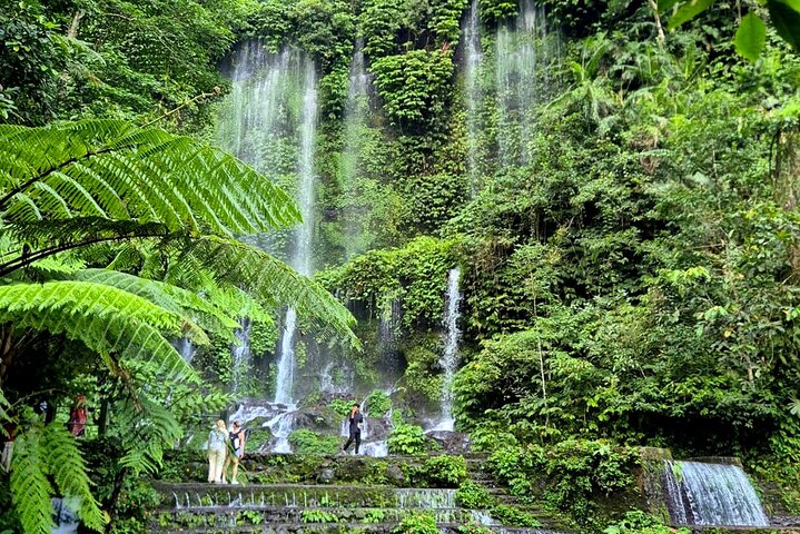 Lombok Private Trip: 4 Waterfalls, Rice Fields & Jungle Trek
