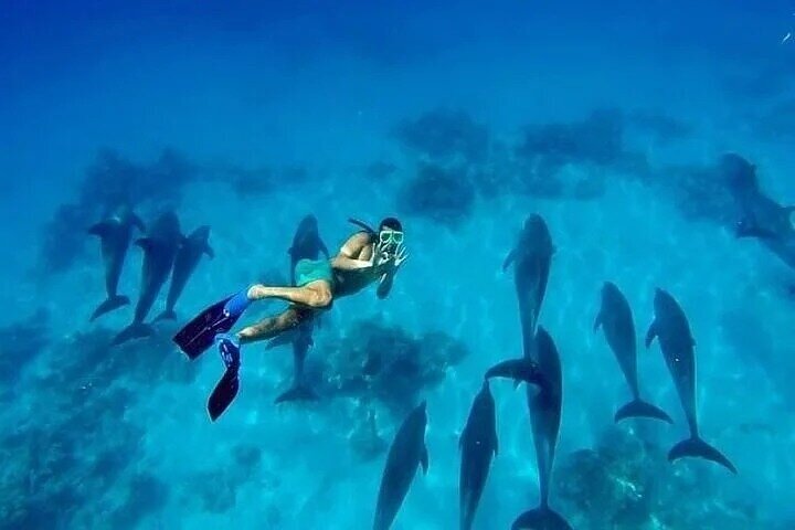 Sharm El Naga Full Day Snorkeling with Turtles & Lunch – Hurghada