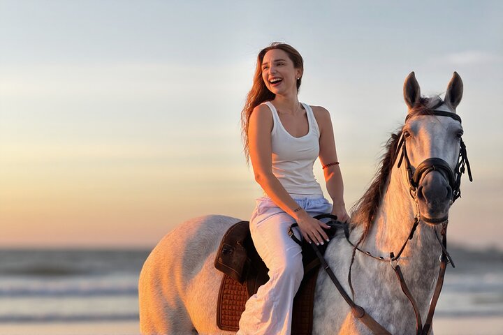Horse Riding on Essaouira Beach Flexible Durations and Sunset