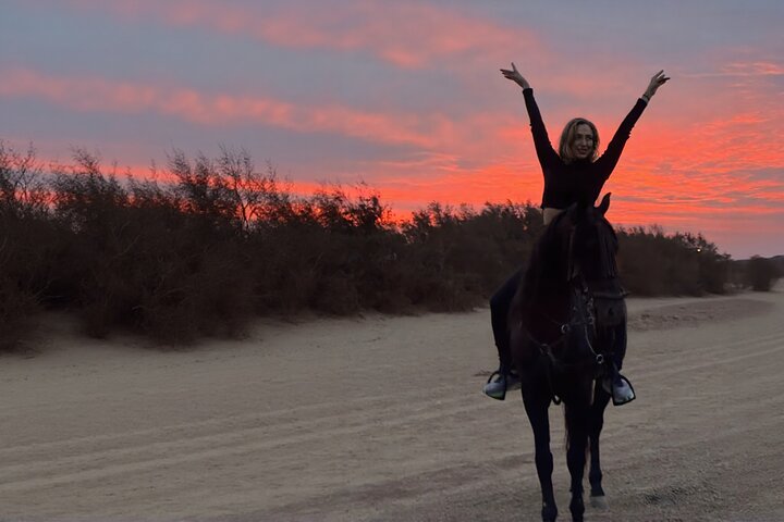 Horse Riding on Essaouira Beach Flexible Durations and Sunset