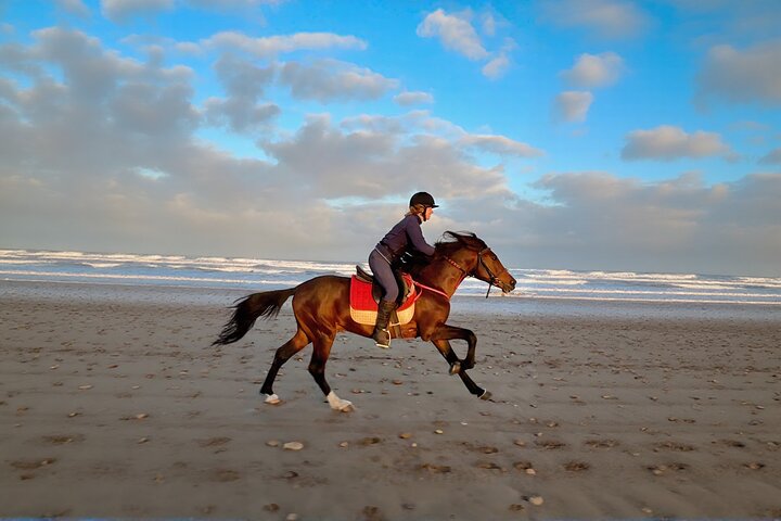 Horse Riding on Essaouira Beach Flexible Durations and Sunset
