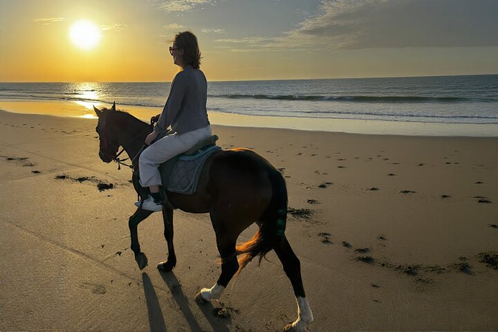 Horse Riding on Essaouira Beach Flexible Durations and Sunset
