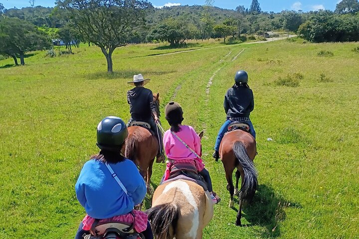 Andes Mountains Horseback Riding - Half Day