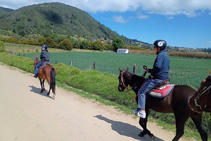 Andes Mountains Horseback Riding - Half Day