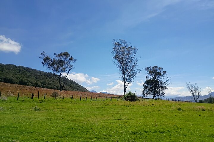 Andes Mountains Horseback Riding - Half Day