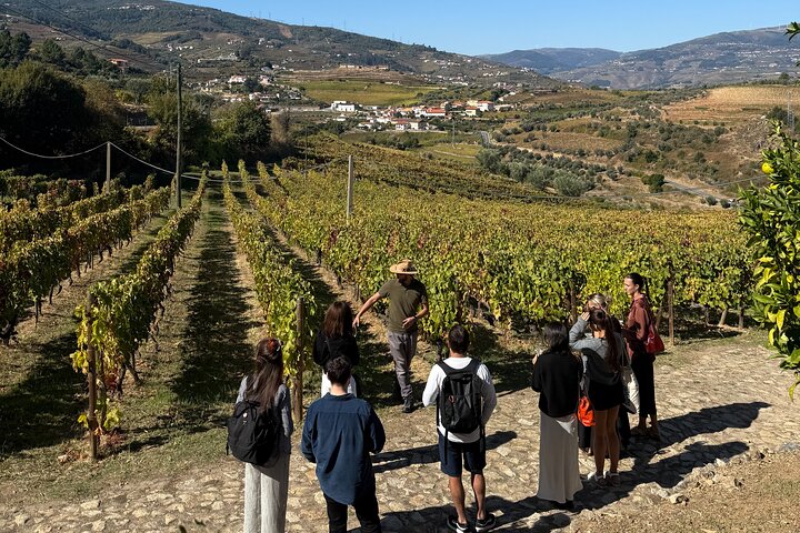 Wine Tasting at Quinta dos Novais in Douro Valley