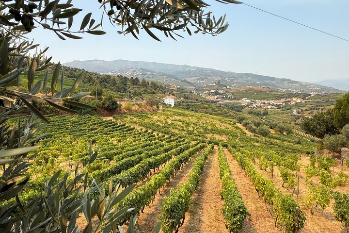 Wine Tasting at Quinta dos Novais in Douro Valley