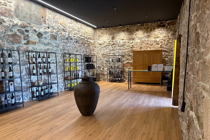 Wine Tasting at Quinta dos Novais in Douro Valley