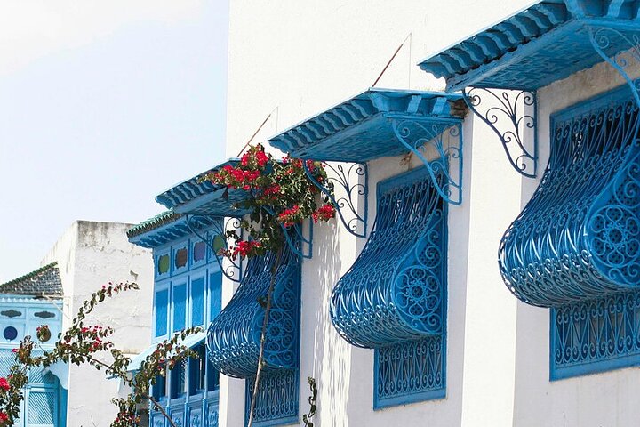 Tunis,Carthage&Sidi Bou Said:Premium Private Day Tour with Pickup
