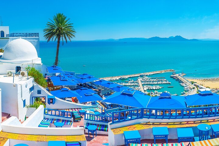 Tunis,Carthage&Sidi Bou Said:Premium Private Day Tour with Pickup