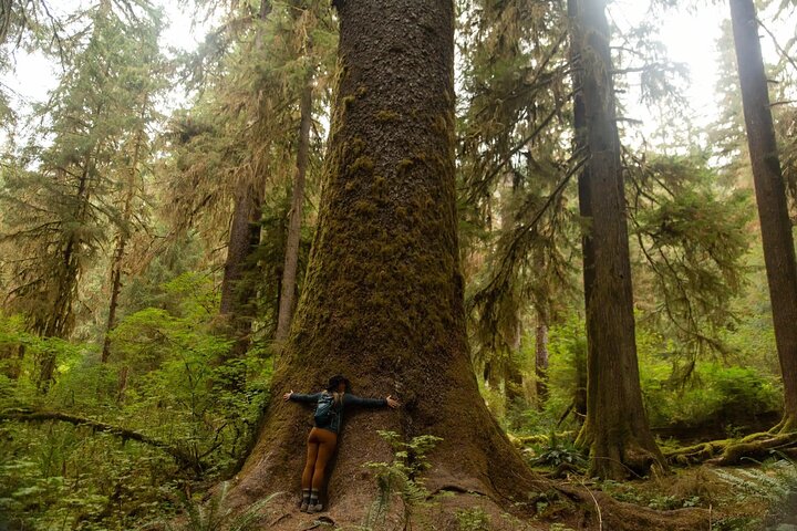 Olympic Two Day Private Tour and Hike