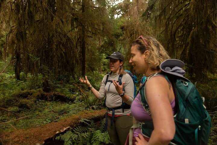 Olympic Two Day Private Tour and Hike