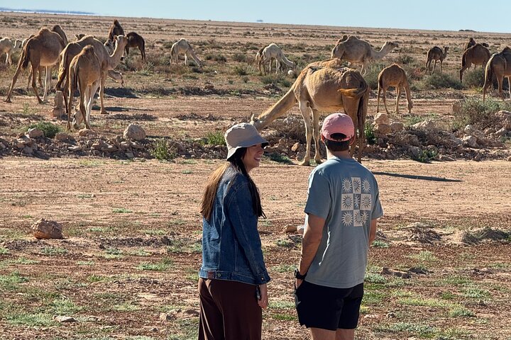 4×4 Adventure in the Dajla Desert – White Dune and Oasis Imlili