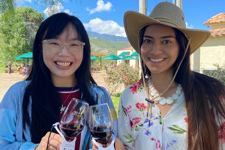 Villa de Leyva: Private Vineyard Tour with Wine & Food Pairing