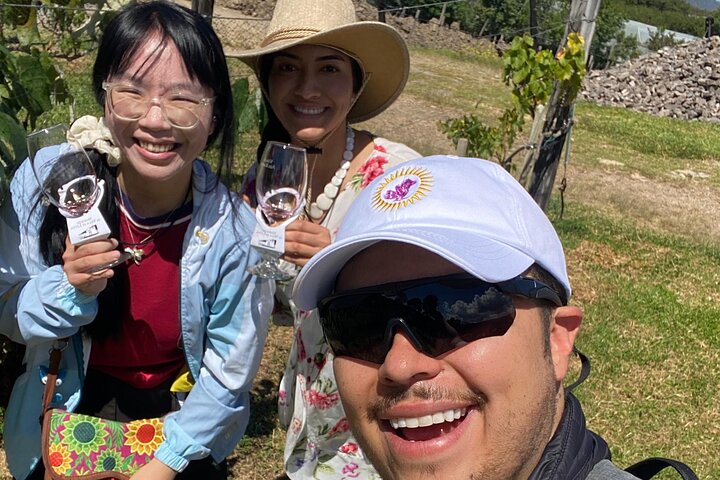 Villa de Leyva: Private Vineyard Tour with Wine & Food Pairing