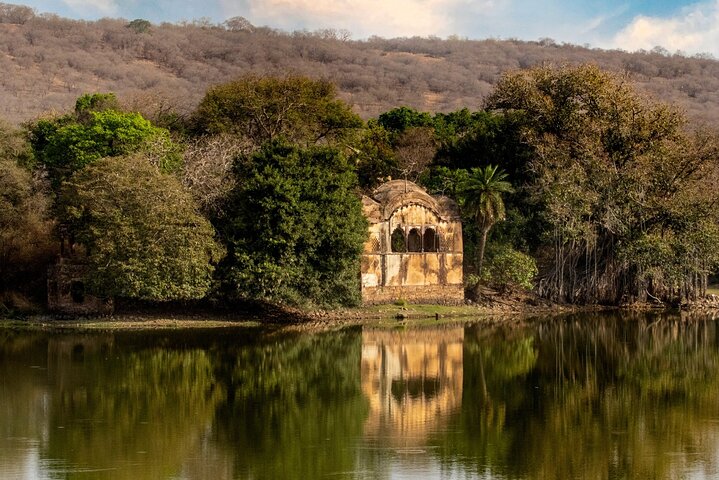 Tiger Safari-Ranthambore National Park