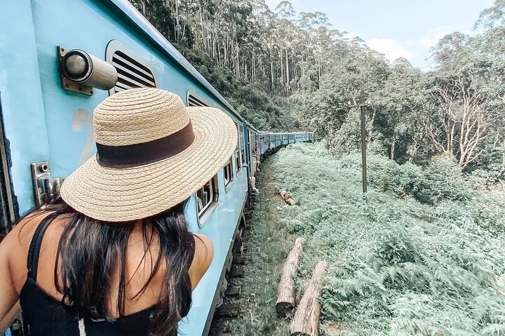 Ella to Nanuoya Scenic Train Journey with Reserved Seats Ticket