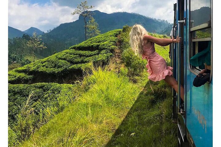 Ella to Nanuoya Scenic Train Journey with Reserved Seats Ticket
