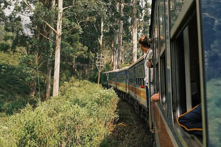 Ella to Nanuoya Scenic Train Journey with Reserved Seats Ticket