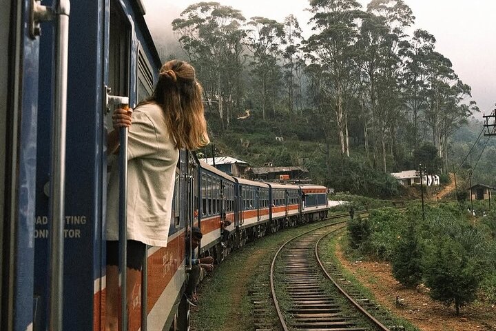 Ella to Nanuoya Scenic Train Journey with Reserved Seats Ticket