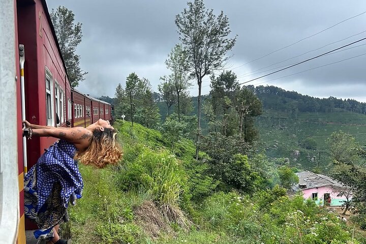 Ella to Nanuoya Scenic Train Journey with Reserved Seats Ticket