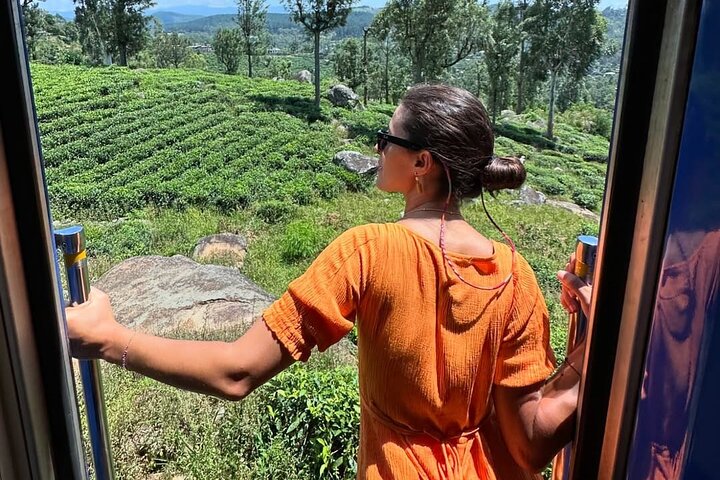 Ella to Nanuoya Scenic Train Journey with Reserved Seats Ticket