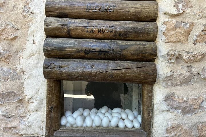 Crocodile Farm and Cultural Museums Experience in Djerba