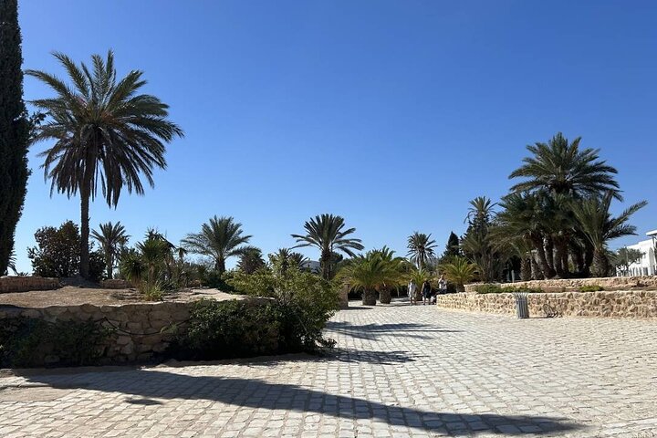 Crocodile Farm and Cultural Museums Experience in Djerba