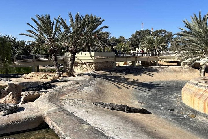 Crocodile Farm and Cultural Museums Experience in Djerba