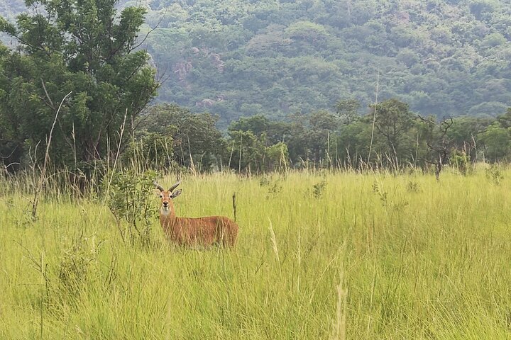 Full Day Accra Safari & private Boat Cruise Tour