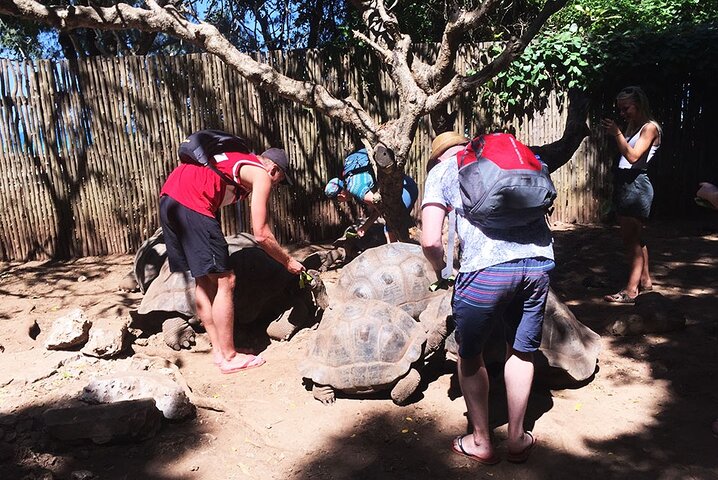 Zanzibar City Tour, Prison Island & Nakupenda Sandbank with BBQ