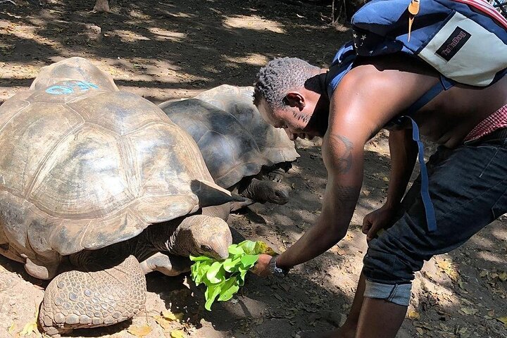 Zanzibar City Tour, Prison Island & Nakupenda Sandbank with BBQ